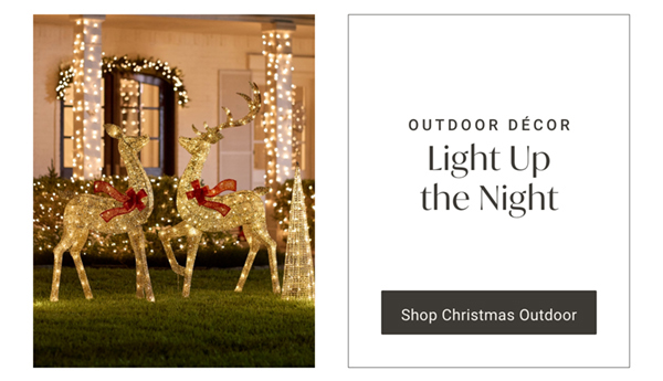 Light Up the Night | Shop Christmas Outdoor >
