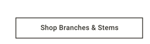 Shop Branches & Stems >