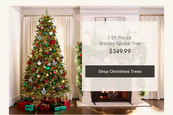 Shop Christmas Trees