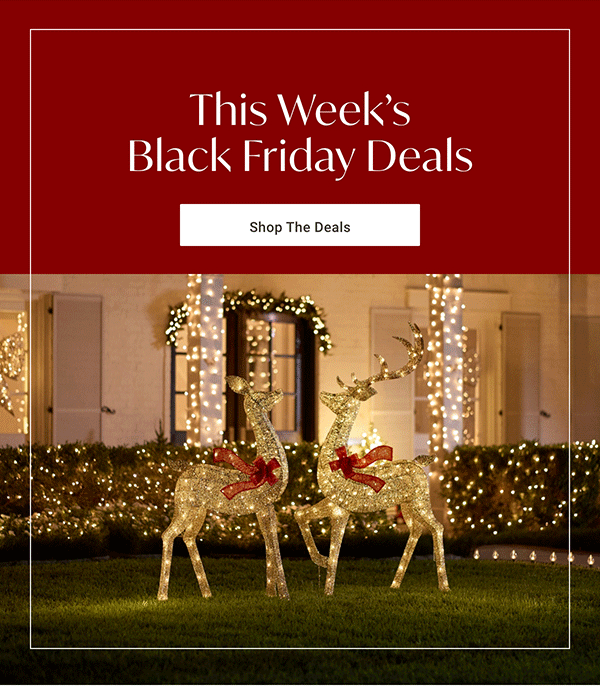 This Week's Black Friday Deals | Shop the Deals >