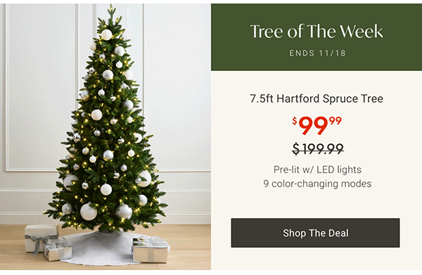 Tree of the Week: 7.5ft Hartford Spruce Tree | Shop the Deal >