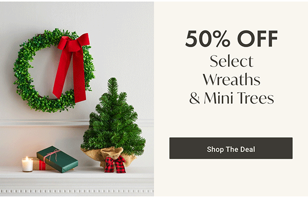 50% Off Select Wreaths & Mini Trees | Shop the Deal >