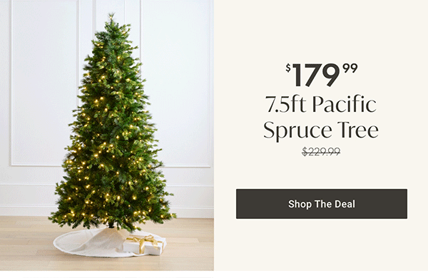 7.5ft Pacific Spruce Tree | Shop the Deal >
