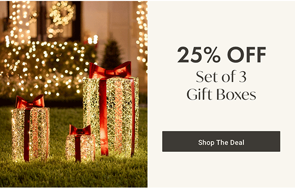 25% Off Set of 3 Gift Boxes | Shop the Deal >