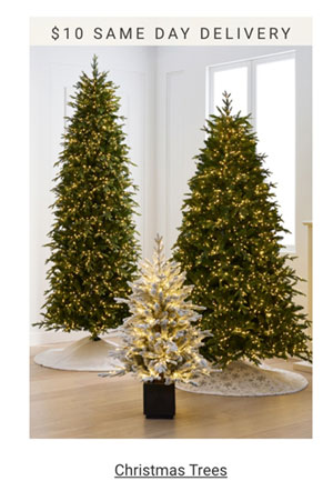 Christmas Trees Category