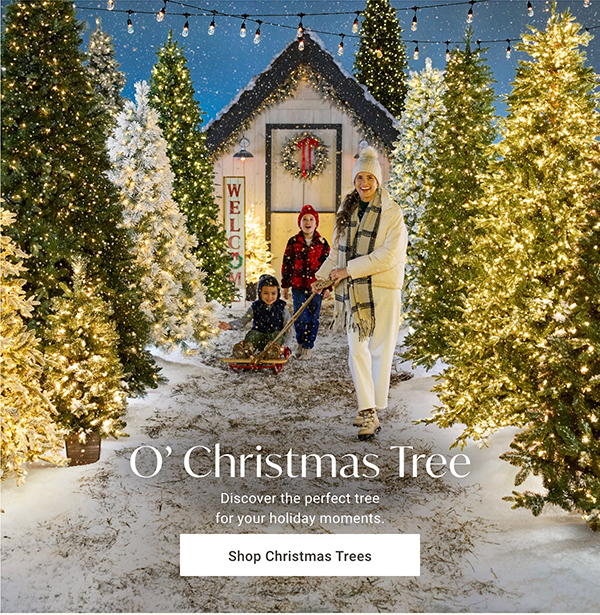 O' Christmas Tree | Shop Christmas Trees >