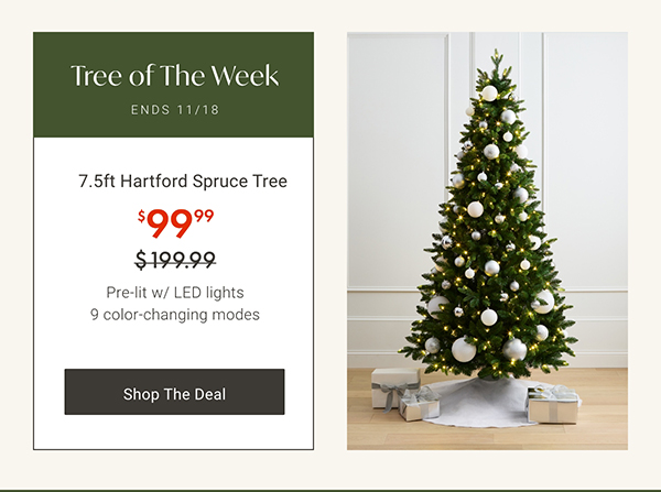 Tree of the Week: 7.5ft Hartford Spruce Tree | Shop the Deal >