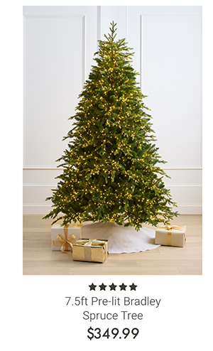 7.5ft Pre-lit Bradley Spruce Tree