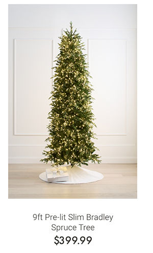 9ft Pre-lit Slim Bradley Spruce Tree