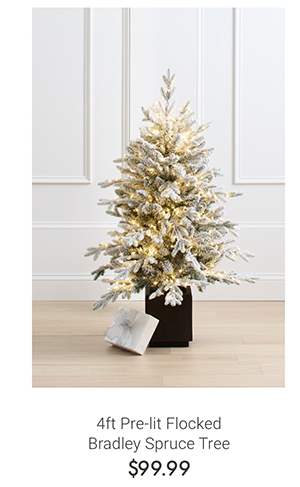 4ft Pre-lit Flocked Bradley Spruce Tree