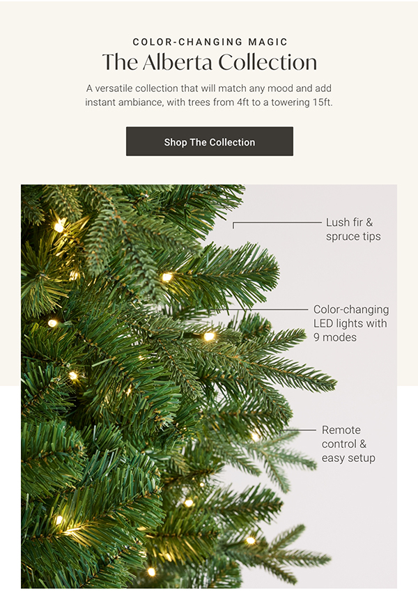 The Alberta Collection | Shop Now >