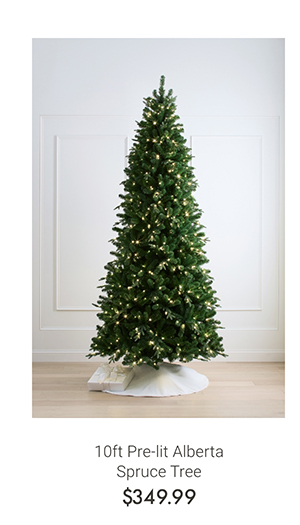 10ft Pre-lit Alberta Spruce Tree