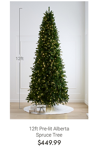 12ft Pre-lit Alberta Spruce Tree