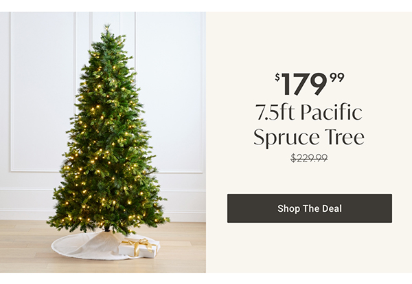 $179.99 7.5ft Pacific Spruce Tree | Shop the Deal >