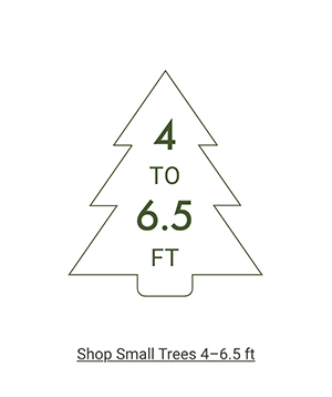 Shop Small Trees >