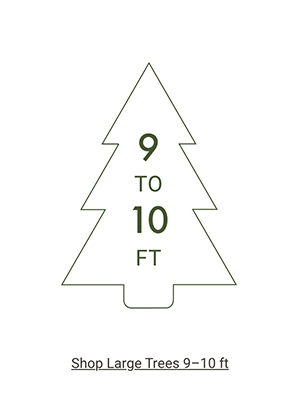 Shop Large Trees >