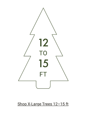 Shop X-Large Trees >