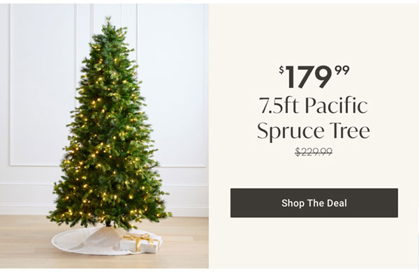 7.5ft Pacific Spruce Tree - Shop The Deal