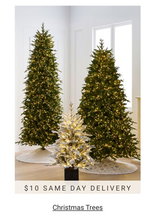 Christmas Trees- Shop Now