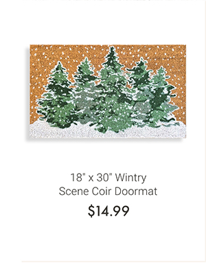 18" x 30" Wintry Scene Coir Doormat