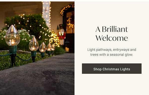 A Brilliant Welcome | Shop Christmas Lights >