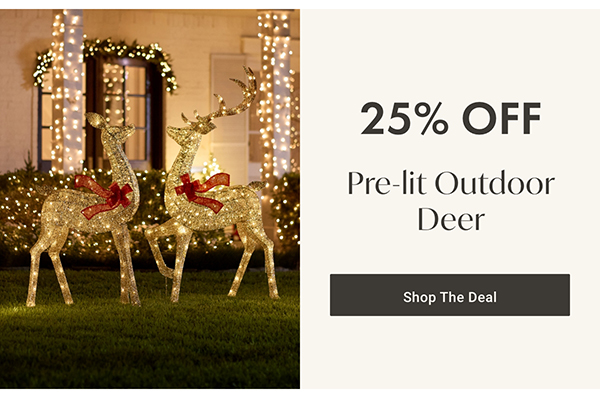 25% Off Pre-lit Outdoor Deer | Shop the Deal >