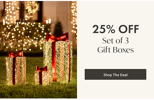 25% Off Set of 3 Gift Boxes | Shop the Deal >