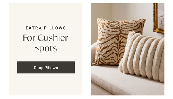 Extra Pillows: For Cushier Spots - Shop Pillows