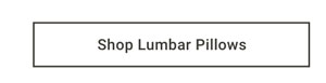 Shop Lumbar Pillows