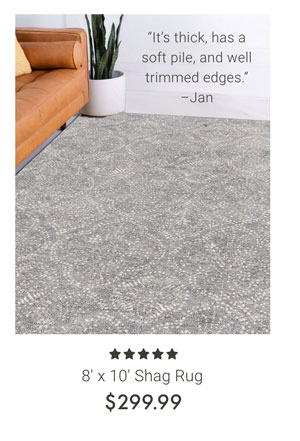 8' x 10' Shag Rug