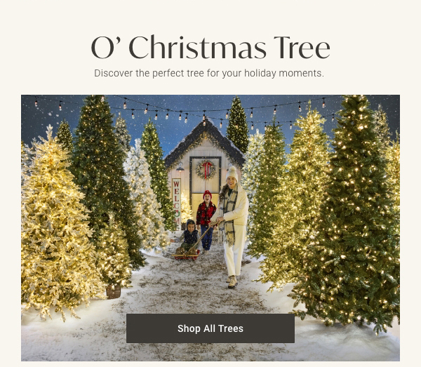 O' Christmas Tree | Shop All Trees >