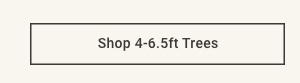Shop 4-6.5ft Trees >