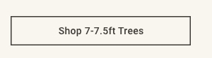 Shop 7-7.5ft Trees >