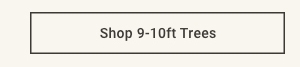 Shop 9-10ft Trees >