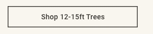 Shop 12-15ft Trees >