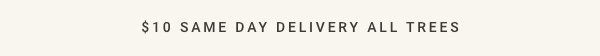 $10 Same Day Delivery All Trees
