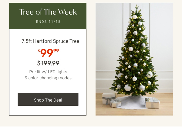 Tree of the Week: 7.5ft Hartford Spruce Tree | Shop the Deal >