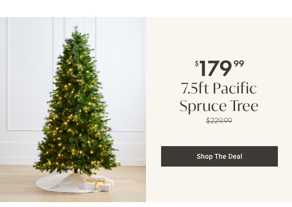 7.5ft Pacific Spruce Tree | Shop the Deal >