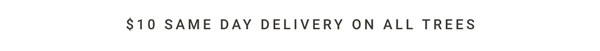 $10 Same Day Delivery All Christmas Trees