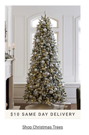 Shop Christmas Trees Category