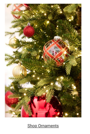 Shop Ornaments Category