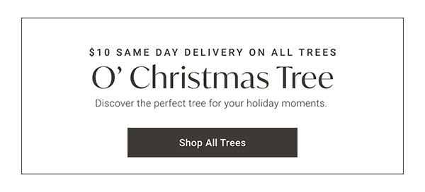 O' Christmas Tree | Shop All Trees >