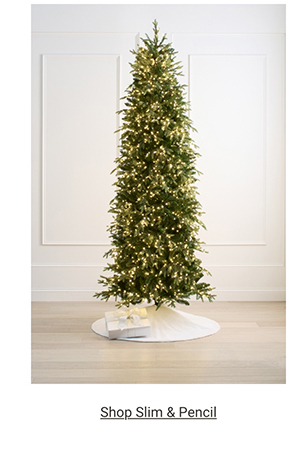 Shop Slim & Pencil Trees >