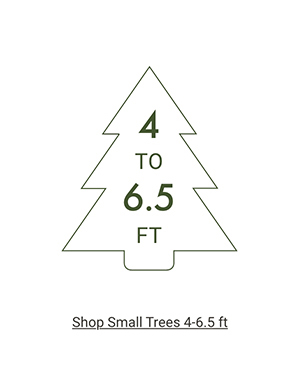 Shop Small Trees >