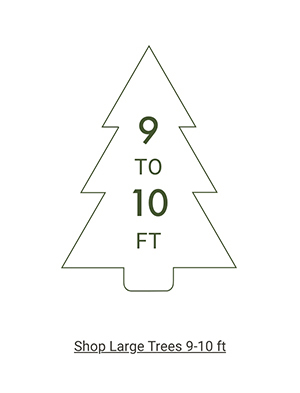 Shop Large Trees >