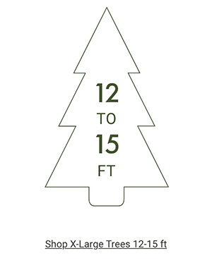 Shop X-Large Trees >