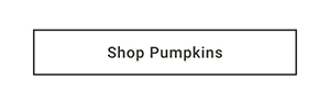 Shop Pumpkins >