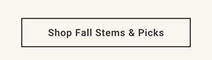 Shop Fall Stems & Picks >