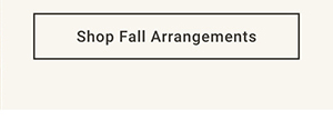 Shop Fall Arrangements >