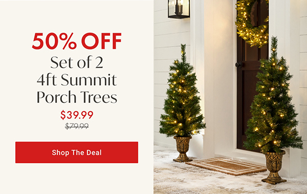 50% Off Set of 2 4ft Summit Porch Trees | Shop the Deal >